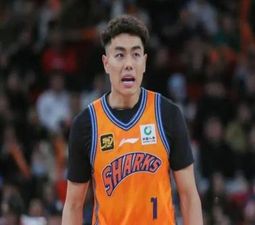 奔腾在帕米,尔高原的古,丽骑手,世界杯竞猜,2026世界杯,竞猜技巧,热门推荐,赛事分析