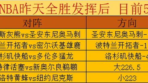 王钰栋或加盟法甲欧塞尔，备受瞩目，前程似锦！
