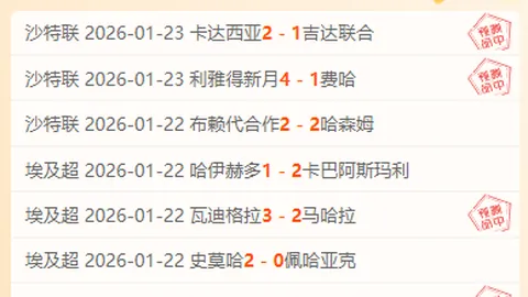 维冈主场挑战莱顿东方，专家推荐大乐透期号策略